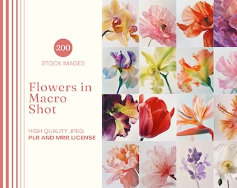Floral Stock Photo Holistic Coach Stock Image Flower Instagram Reel Cover TikTok Cover Wellness Marketing Photo Entrepreneur Lifestyle MRR