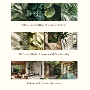 May include: Three images showcasing different aspects of tropical interiors. The first image is a close-up of various green leaves. The second image shows a room with large windows and sunlight filtering through the leaves of plants. The third image shows a modern interior with a pool and lush greenery.