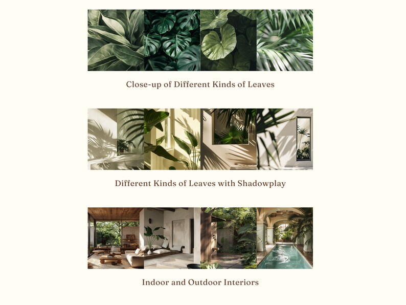 May include: Three images showcasing different aspects of tropical interiors. The first image is a close-up of various green leaves. The second image shows a room with large windows and sunlight filtering through the leaves of plants. The third image shows a modern interior with a pool and lush greenery.
