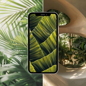 May include: A smartphone displaying a close-up image of green palm leaves. The phone is positioned in front of a curved wall with a window revealing a lush green tropical garden.
