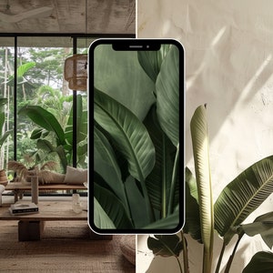 May include: A split image showing a modern living room with a large window and a phone displaying a close-up of green tropical leaves. The phone is positioned in front of a white wall with a large green plant.