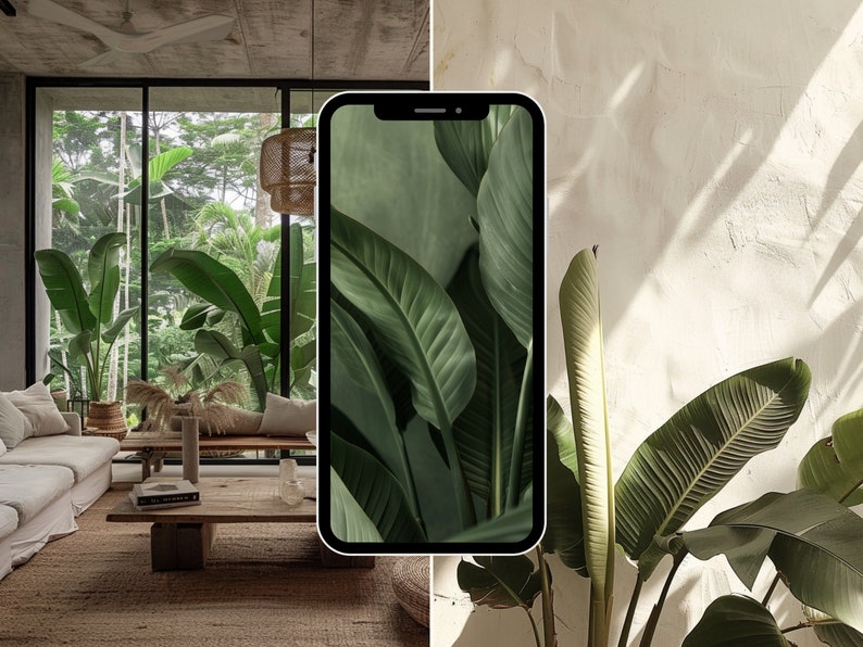 May include: A split image showing a modern living room with a large window and a phone displaying a close-up of green tropical leaves. The phone is positioned in front of a white wall with a large green plant.