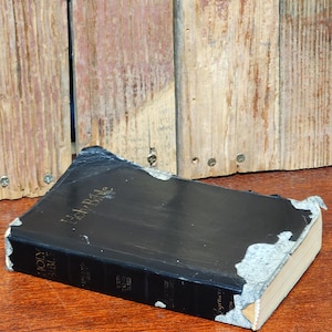 1984 Holy Bible - King James Version/Dictionary Concordance
