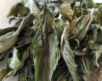 Homegrown Dried Peppermint Leaf for Spellwork or Herbal Tea