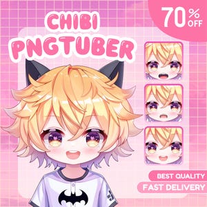 Aangepaste chibi pngtuber, pngtuber, schattige chibi, chibi pngtuber, pngtuber, aangepaste pngtuber, pngtuber-personage, chibi anime, chibi, chibi vtuber