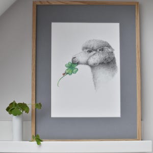 Alpaka Poster mit Kleeblatt und Glückskäfer  Din A 4 | Glücksposter | Glücksbringer |  handgezeichnetes Tierposter für Wanddekoration