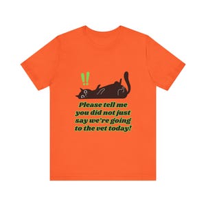 Funny Cat T-Shirt, Cat Vet Visit Funny Tee, Cat Owner T-Shirt, Cat Lover Gift, Cat