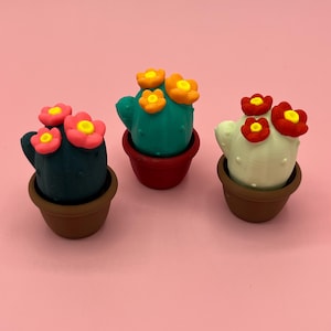 Cactus Fidget Clicker Clicky Mechanical Gadget Gift Flowering Houseplant