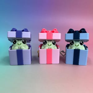 Frosch Geschenk Box Fidget Clicker - Sensorischer Schlüsselanhänger, Clicky Geburtstagsgeschenk, Anlassgeschenk