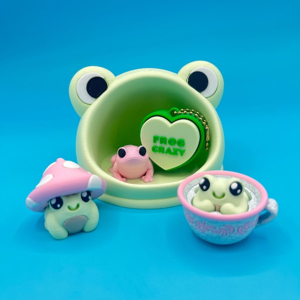 Frog Lover Gift Fidget Clicker Toys & Trinket Dish Bundle Ultimate Calming Gift