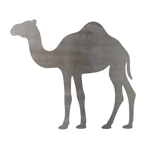 May include: A flat, two-dimensional metal cutout in the shape of a dromedary camel. The object features a brushed, metallic gray finish with visible horizontal graining across its entire surface, depicting the animal in a standing profile view.