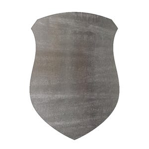 May include: A shield-shaped object with a distressed, gray metallic finish. The shield has a pointed bottom and a curved top with two small notches. The surface shows horizontal graining, giving it a textured appearance.