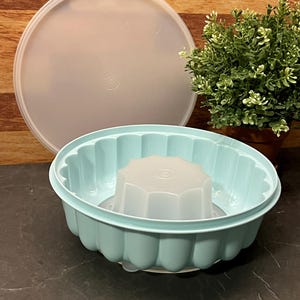 Könnte beinhalten: Eine hellblaue Kunststoff-Götterspeiseform mit passendem Deckel und einem durchsichtigen Kunststoffeinsatz. Die Form hat einen gewellten Rand und einen sternförmigen Einsatz. Der Deckel ist rund und durchscheinend. Eine kleine Topfpflanze ist im Hintergrund.