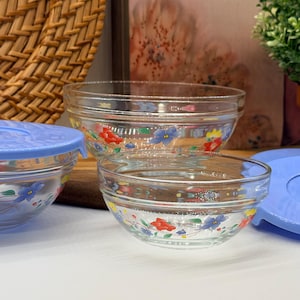 Peut inclure: Deux bols en verre transparent ornés d'un motif floral délicat avec des fleurs rouges, bleues et jaunes ainsi que des tiges vertes. Un bol plus grand est placé derrière le plus petit. Les deux bols sont accompagnés de couvercles en plastique bleu clair.
