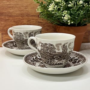 May include: Two white teacups and saucers with a brown landscape design. The cups have a curved handle and sit on matching saucers. A small potted plant is in the background.