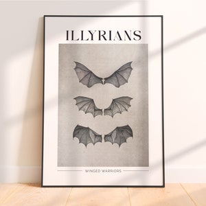 Puede incluir: Un póster en blanco y negro con el texto "ILLYRIANS" en letras grandes y en negrita en la parte superior. El póster presenta tres pares de alas, cada uno con un tamaño y una forma diferentes. El texto "WINGED WARRIORS" aparece en la parte inferior del póster.