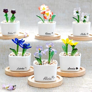 May include: A selection of glass flower sculptures in white square pots, each on a wooden coaster. The flowers are various colours, including red, white, blue, yellow, and purple. Each pot has a name printed on it.