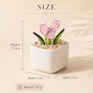 Op de afbeelding: Een kleine, witte vierkante keramische pot met drie roze glazen tulpen en groene bladeren. De pot is gevuld met kleine kiezelstenen. De hoogte is 7,5 cm, breedte en diepte zijn 5 cm, en het gewicht is 115 g. Het woord "SIZE" staat bovenaan.