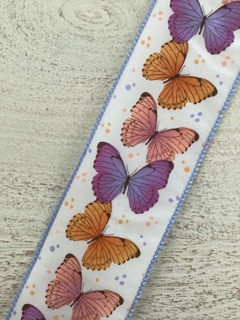 2 Butterfly Ribbons 2.5