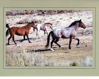 Wild Horses in Eastern Oregon note card or greeting card