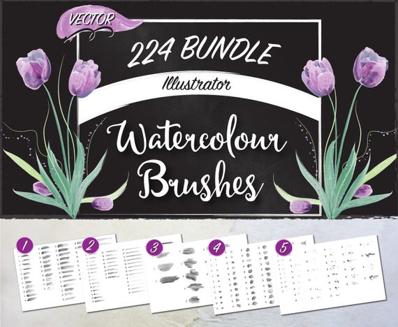 224 Watercolor Brush Set for Illustrator - Vector Format - Thin, Medium, Thick, Blot, and Splatter Art and Scatter Brushes with Tutorials