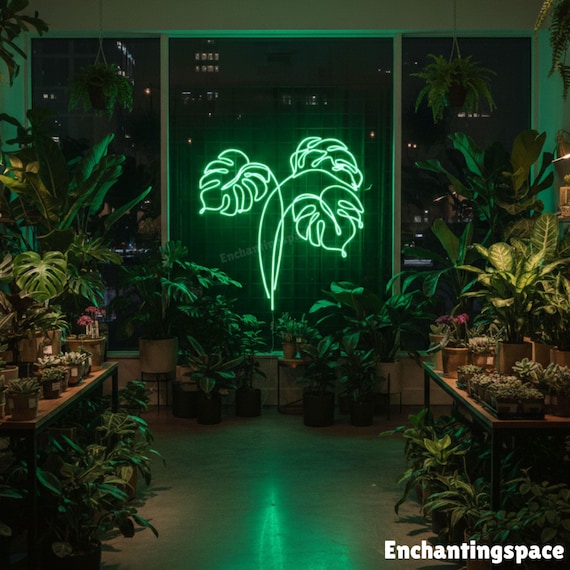 zz plant zamioculcas 4
