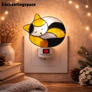 May include: A stained glass night light shaped like a sleeping cat. The cat is yellow, black, white, and gray. The night light plugs into a wall outlet and has a red on/off switch. The text "enchantingspace" is in the upper left corner.