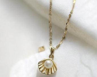 Shell Pendant Necklace • 14k Gold Plated  •  Freshwater Pearl Chain •  925 Sterling Silver • Summer Necklace  •  Dainty Shell Necklace