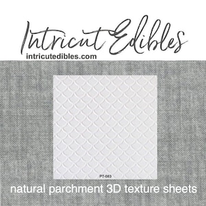 3D Parchment Texture Scallops 6/pkg