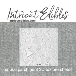 3D Parchment Texture Shells 2 6/pkg