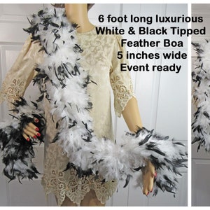 6 foot long luxurious White & Black Tipped Feather Boa, 5 inches wide, Event ready for Halloween, Roaring 20&#39;s Party, Dance recital and More