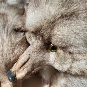 Superbe étole vintage en fourrure de renard arctique blanc véritable