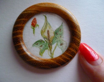 Lords and ladies ,a plant study  in one 12th scale. A painting in watercolour in a round frame.