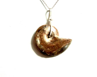 Ammonite sterling silver pendant with chain