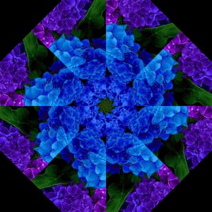 May include: A kaleidoscopic pattern featuring vibrant blue and purple hydrangea flower clusters arranged in a symmetrical, radial design. The image displays dense, rounded petals and deep green leaves, creating a repeating, geometric floral composition.
