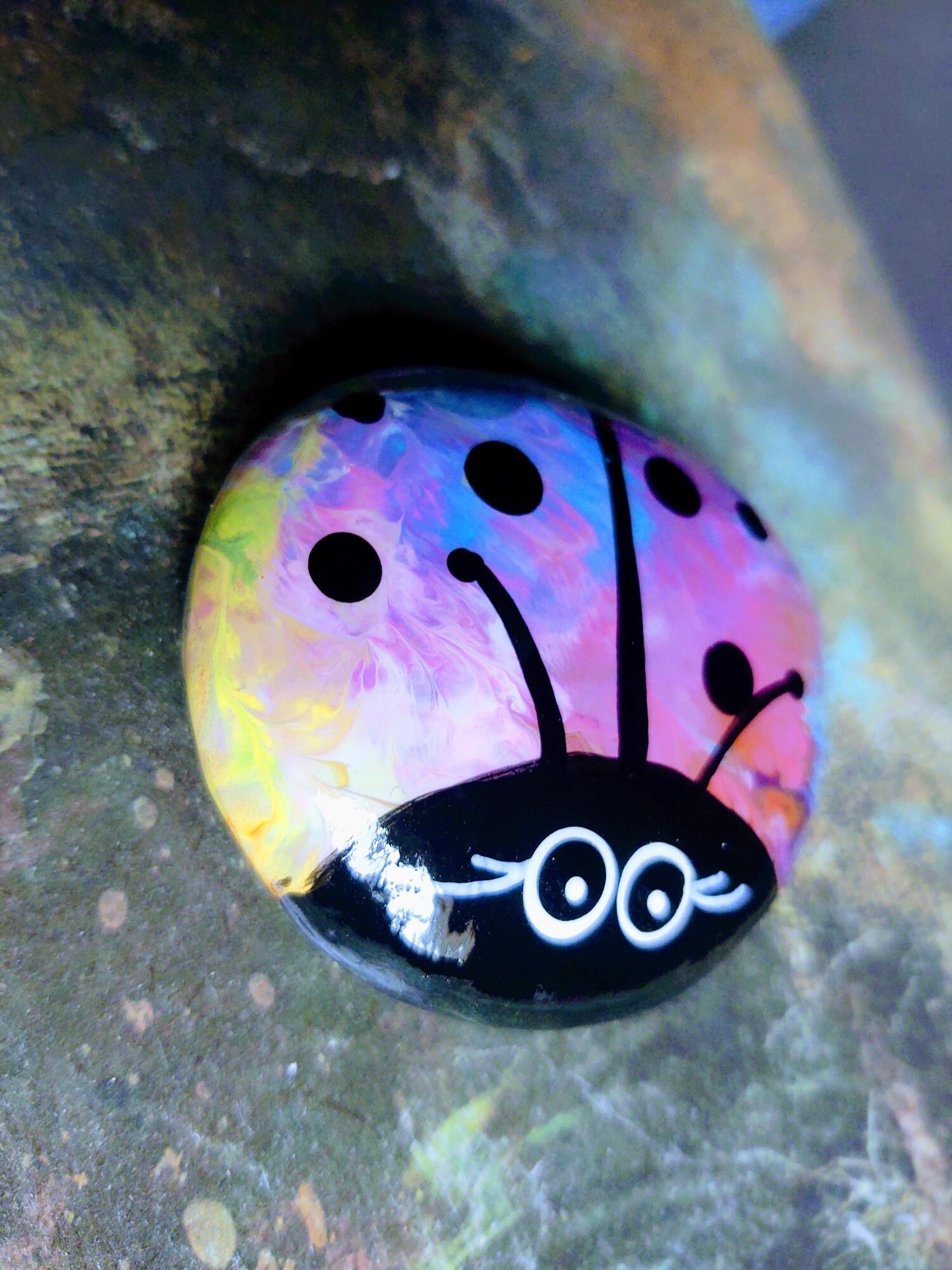 Ladybug Painted Stone, Any Day Cheer up Gift, Ideal for Friends ...
