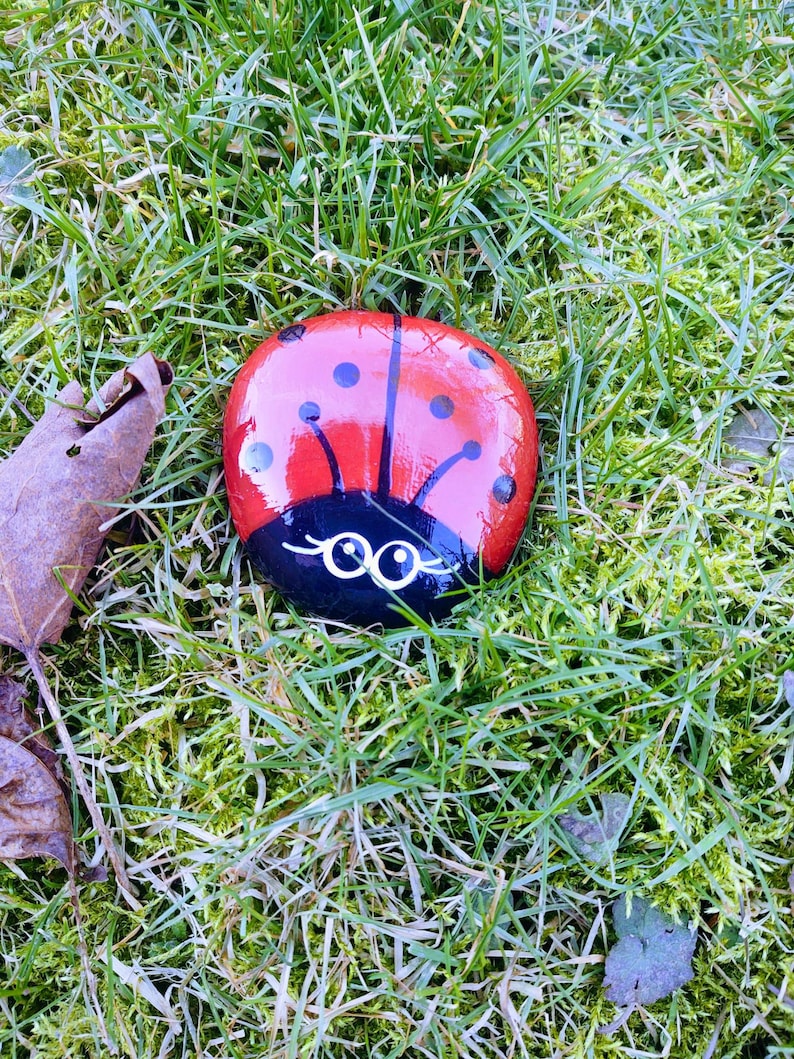 Painted Ladybug Rock, Painted Rocks, Ladybug Rocks, Red Ladybug Rock ...