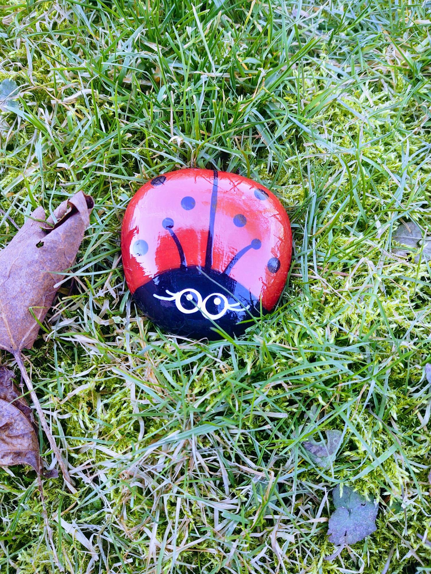 Lady Bug Rok Painted Ladybug Rock, Painted Rocks, Ladybug Rocks, Red Ladybug Rock ...