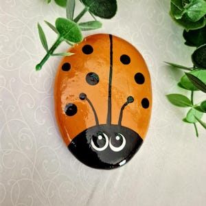 Painted Ladybug Rock, Orange Painted Rock, Ladybug Rocks, Orange Ladybug Rock, Friendship Rock, Rock Gift, Bug Rock, Paperweight (M)