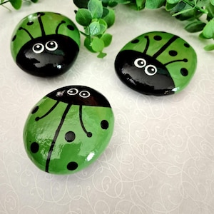 Painted Ladybug Rock, Green Painted Rock, Ladybug Rocks, Green Ladybug Rock, Friendship Rock, Rock Gift, Green Bug Rock, Paperweight (M#1)