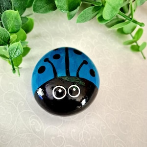 Painted Ladybug Rock, Teal Painted Rock, Ladybug Rocks, Teal Ladybug Rock, Friendship Rock, Rock Gift, Teal Bug Rock, Paperweight (M#1)