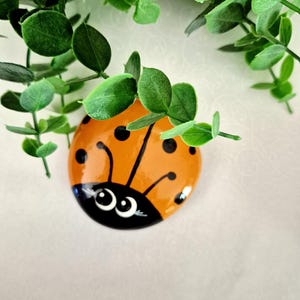 Painted Ladybug Rock, Orange Painted Rock, Ladybug Rocks, Orange Ladybug Rock, Friendship Rock, Rock Gift, Bug Rock, Paperweight (F#1)