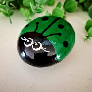 Painted Ladybug Rock, Green Painted Rock, Ladybug Rocks, Green Ladybug Rock, Friendship Rock, Rock Gift, Green Bug Rock, Paperweight (#4)