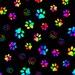 Kit Kaléidoscope Rainbow Wildcats – Tissus Prédécoupés Stack N Whack, 12-10 Blok