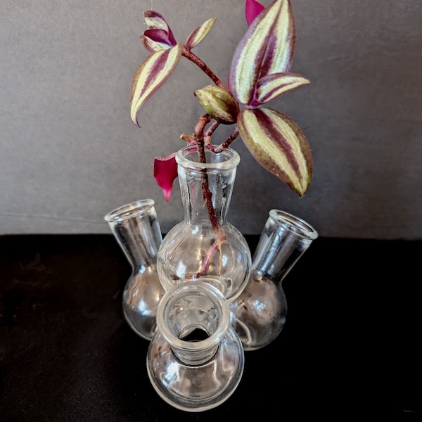 Glass Bottle Planter Etsy