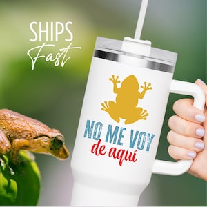 Puerto Rico Tumbler Boricua Gift for Puerto Rico Friend Boricua 40oz Tumbler With Handle Gift Puerto Rico Travel Mug Gift Puerto Rico Cup