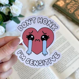 Don't Honk I'm Sensitive Aufkleber | Süßer Bücherwurm Merch | Zubehör | Kindle Sticker | Aufkleber Geschenk | E-Reader Aufkleber |  Fahrer