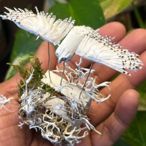 May include: A small, white, paper mache snowy owl sculpture with black markings on its wings. The owl is perched on a small, white, wooden base with a moss and lichen base.