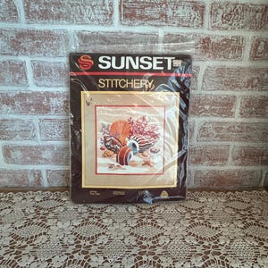 May include: A Sunset Stitchery cross-stitch kit featuring a seashell design. The kit is packaged in a clear plastic bag and includes the Sunset logo and the word "Stitchery". The design includes various seashells, coral, and starfish in shades of orange, brown, and beige.