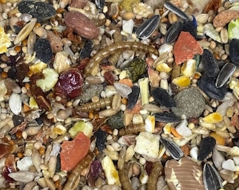 Mouse Food